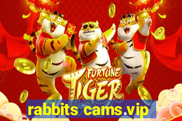 rabbits cams.vip